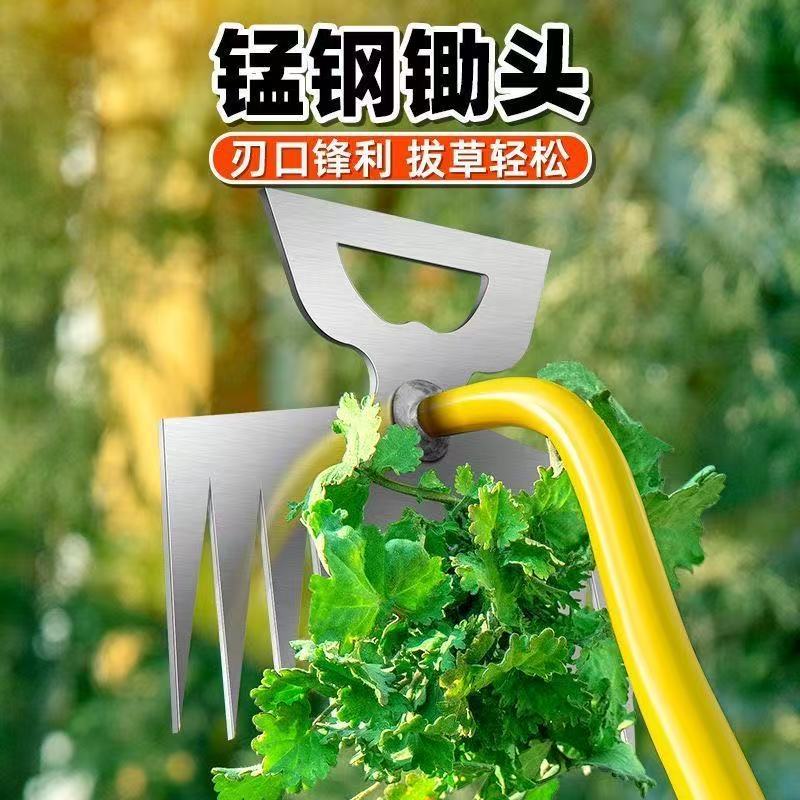 微信图片_202504241202333.jpg