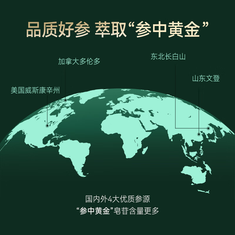 花旗参西洋参茶固体饮料人参皂苷葡萄糖成人维生素养生茶颗粒冲剂|undefined