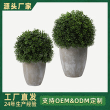 �羳���Q�����ľ���S��ľ�������V��߶��҃��bپGֲ�[������