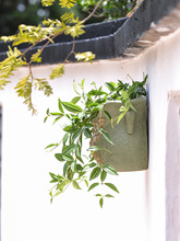 �ڒ�ʽ�����̖�젝��ˮ������͹ź��s���₀�Դ�������ڏ��G�}