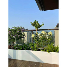 ���ⲻ�P䓻���¶̨�̨�Nֲ���̘I�ֳ�Ʒ�����M���Fˇ�L���λ���