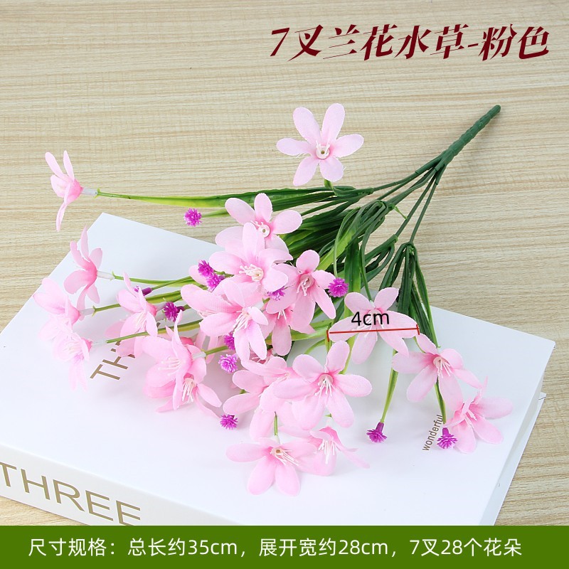 Aquatic plants, orchid
