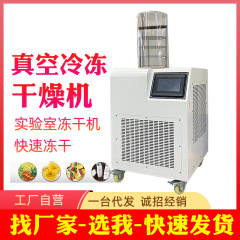 真空冷凍乾燥機冷凍乾燥機食品野菜真空乾燥機実験室家庭用真空冷凍乾燥機