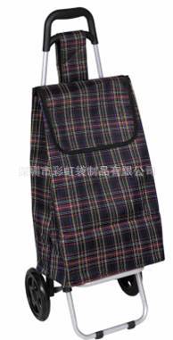 ����ֱ���Ӽ���˹������˳��۵���Я���ﳵţ�������������