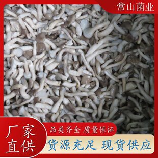 ���Ƽ��� ������ Ģ�� �Ƶ����^������ζ �F؛����