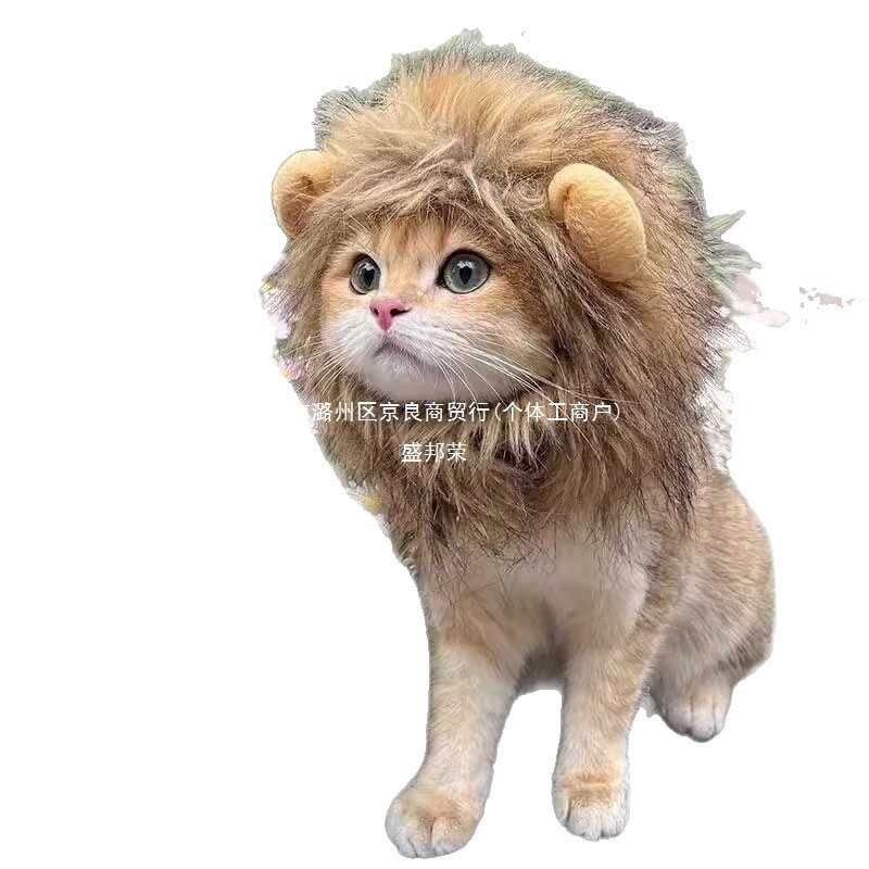 猫かわいい面白い女装帽子ペット帽子ゴールデングラデーション英国ショートヘアデボン犬ハンバーガーヘッドギア漫画帽子|undefined
