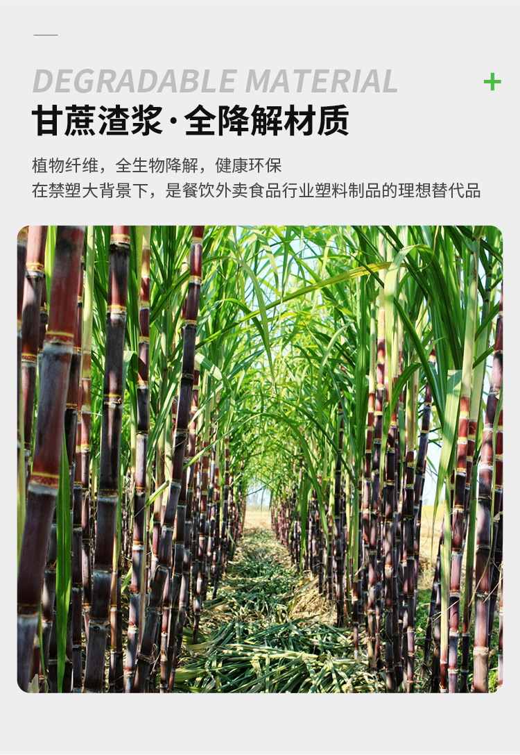 甘蔗餐盒系列07