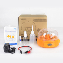 С�ͷ������Ԅӷ����P 6ö�N��������  �u���g���J���u��������