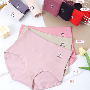 ���N�p�Ӹ����ո�����Ůʿ�дa����ѝ͸��DŮ�������ѝ509