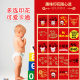 Newborn Baby Clothes 2023 Summer Thin Red Long Sleeve Spring and Autumn Full Moon One Year Old Gift Air-conditioning Clothes One-piece Suit