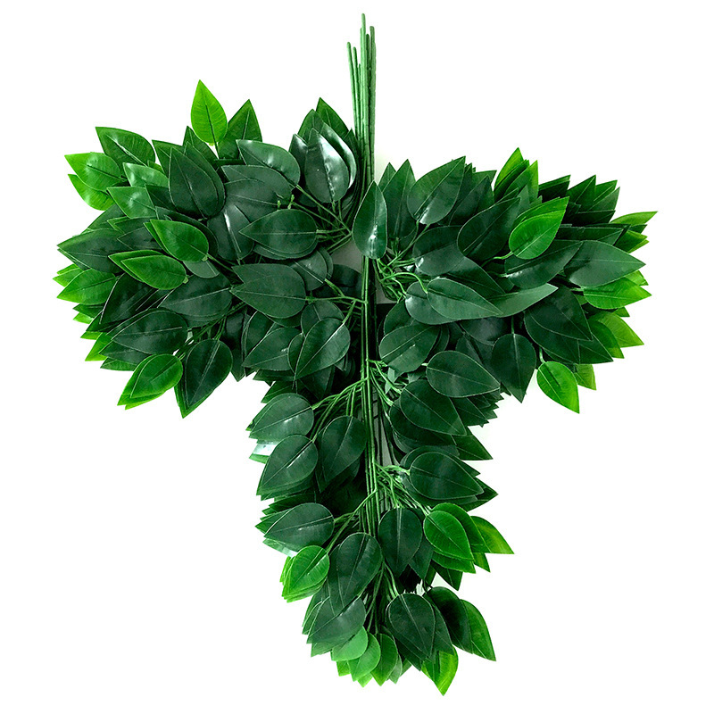 Ruban vert Banyan Branche