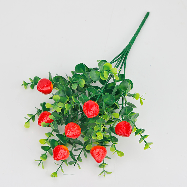 유칼립투스 딸기