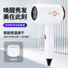 吹风机学生宿舍冷热恒温电吹风家用便携大风量高速吹风筒无刷电机