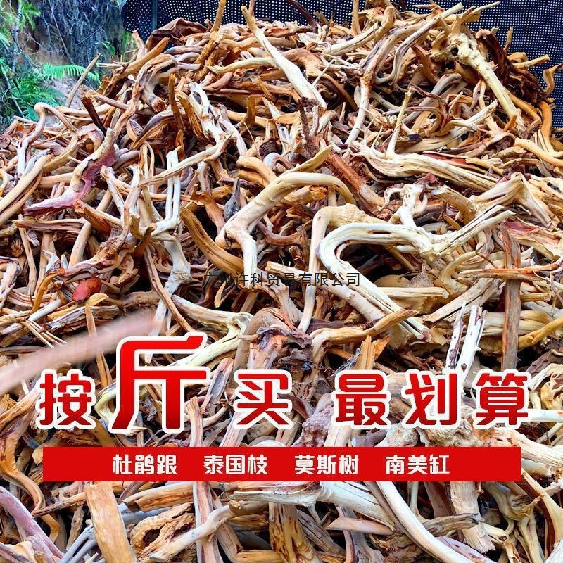 Dead Wood Branches, Driftwood, Rhododendron Roots, Fish Tank, Rainforest Tank, Tree Roots, Micro-Landscape Material Manufacturer
