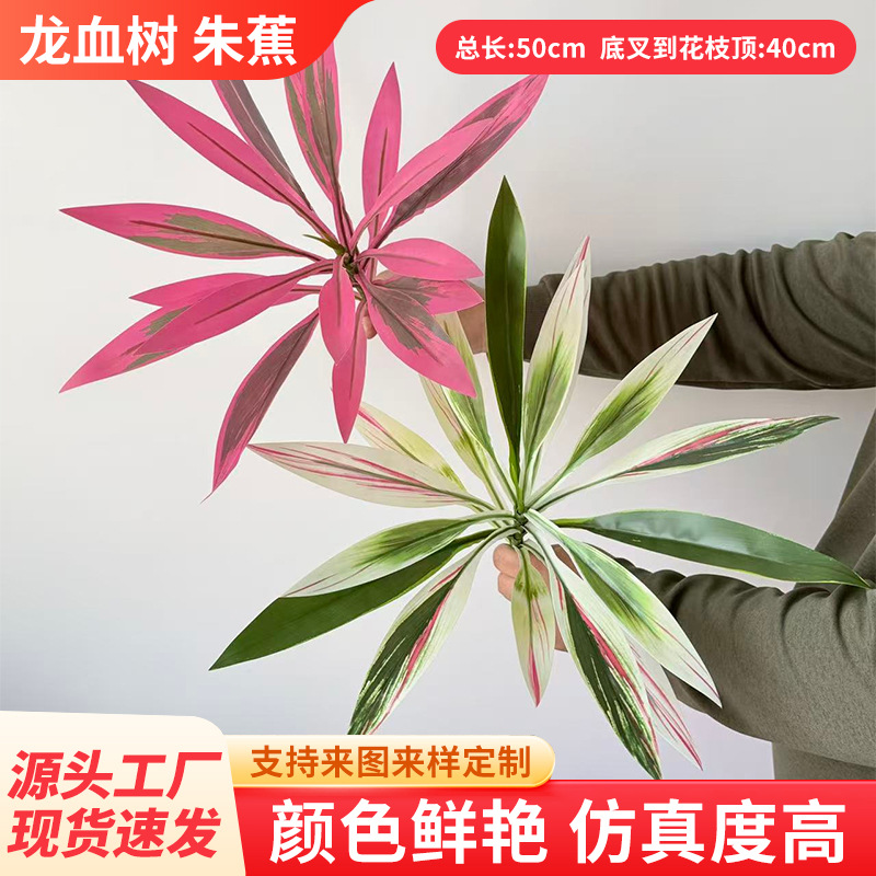 12叶17叶18叶仿真巴西木龙血树朱蕉绿植物室内造景茶几花艺红铁树