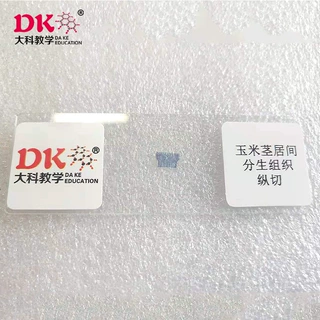 厂家生产 植物切片 玉米茎居间分生组织纵切 供高教教学使用