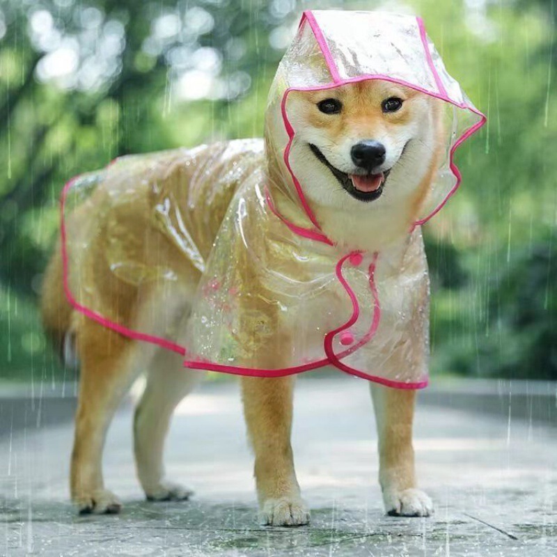 Dog Raincoat Transparent Large and Medium-Sized Dog Teddy Samoyed Golden Retriever Than Small Size Dogs Pet Clothes Poncho Amazon