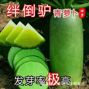 ���ڽO���H���}���N�Ӗ|�������}�����＾��G�}���N���߲˷N��