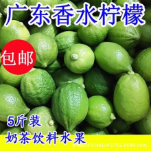 广东无籽香水柠檬新鲜一级青柠檬自家果新鲜应当季奶茶店专用整箱