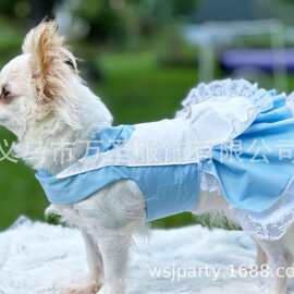 狗狗童话风蓬蓬裙 宠物服装 Alice in Wonderland Pet Dress