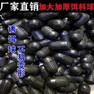 �T�D�� �~�D�� �D���� �������� �O�W�O���~�D �r�\