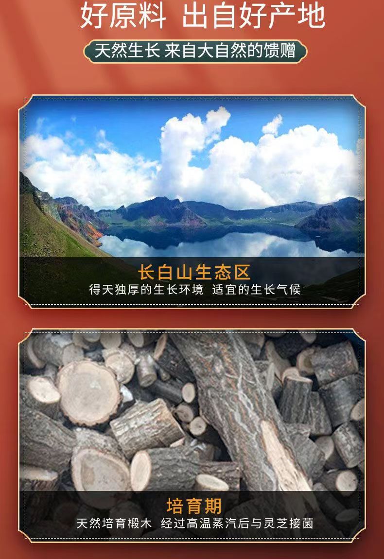 Organic Reishi Mushroom Spore Powder Ling Zhi Bao Zi Fen 250g Bottle specifications