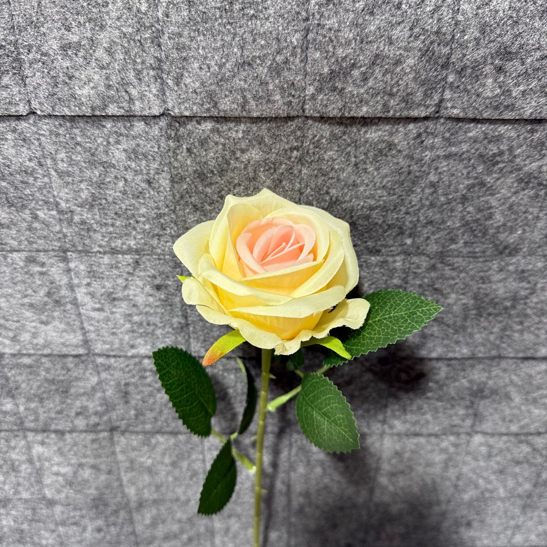 연노랑