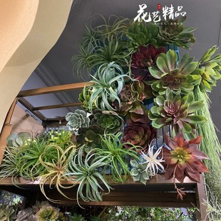 �՚�ݿ՚��P��Ꭷֲ��ֲ�q����¹��ާ��ʯɏ�J�C��Ƥ�m�ٻ�