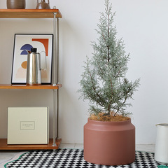 北歐簡約落地水泥花盆創意家居盆栽個性香松客廳室內垂絲茉莉套盆