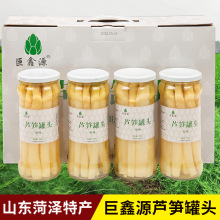 山东菏泽曹县特产巨鑫源原味糖醋白芦笋即食新鲜蔬菜罐头礼盒装