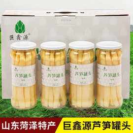 山东菏泽曹县特产巨鑫源原味糖醋白芦笋即食新鲜蔬菜罐头礼盒装