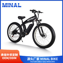 MINAL电动自行车FT33 48V350W10.5A 02