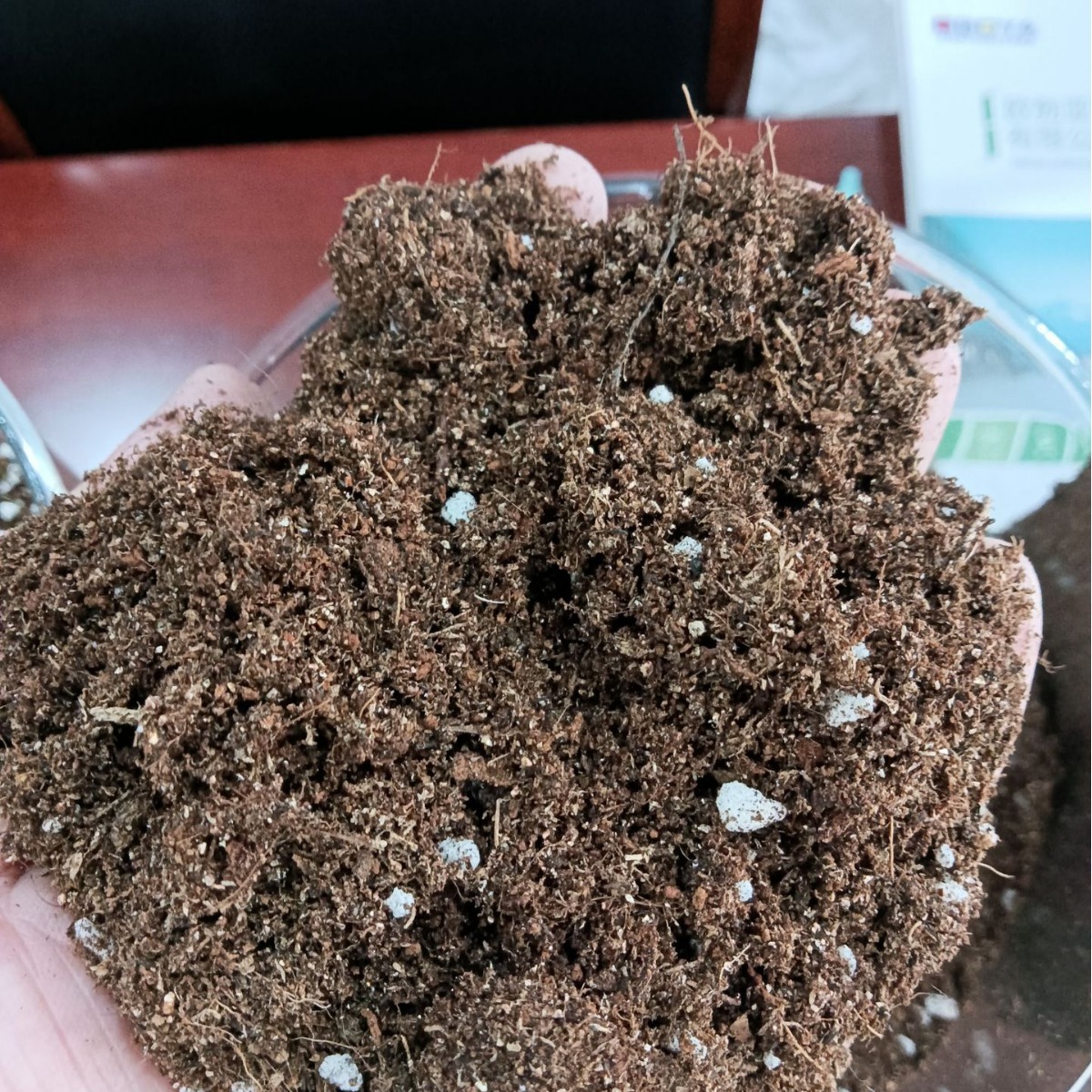 2024-09-18 13:48:45.jpg