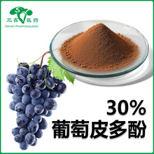 ����Ƥ���50�� ������Ƥ��ȡ�ﻨ����Grape Polyphenols��޼�J��