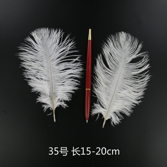 15-20cm 타조 깃털 5개