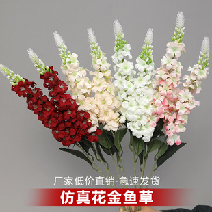 �¿������~�ݻ�c���滨��̨��Y���û�ˇ�ҾӾGֲ�b����l����