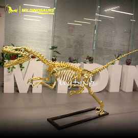 镀金恐龙仿真迅猛龙骨骼骨架化石 玻璃钢热销博物馆室内户外摆件