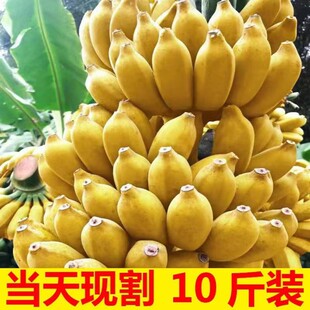 ���ڏV��С�׽��㽶9�����rˮ�������r�O������Ȼ��۽����]