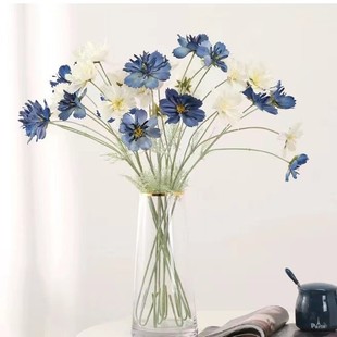 ���滨��˹���r�ռҾ��bӰ巿�廨�黨�ٻ��鼆�zӰ����ins�L