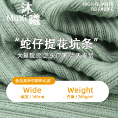 秋冬毛织粗针蛇仔坑条面料 高弹肌理感罗纹布料 保暖毛衣针织面料
