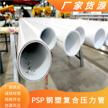 �_��oˮ������JQEM-PSP��܏ͺω����� ppr늴��p���� 110��ܹ�