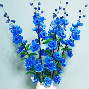 ����12��֧�����Ʒľ�Ȼ������[���ϰ�������ƿ#X���h��@DIY