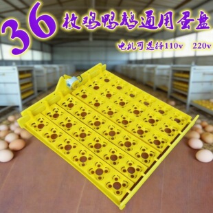 �������ϵ��P ������48ö����늙C�u���Z����24ö���CС�ͷ����C