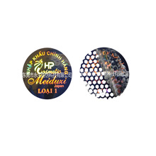 _ȫϢ  ɹN  C  հPVCƬ  D