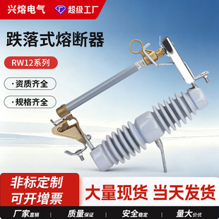 �d��10KV�߉� ����ʽ�۔��� RW12-15/100-200A  ����_�PCE�J�C