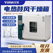 泰斯特304不锈钢电热鼓风干燥箱101-1BE程序控温工业卧室式实验室