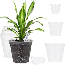 �ظ�����ɽ��Gֲ�����������m��̖͸��Ӻ�����¼�����͸ˮ