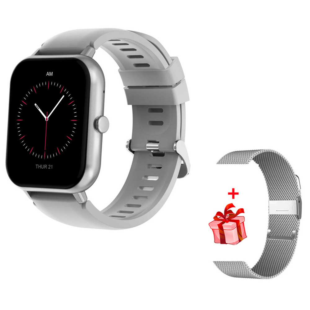 실버 스틸 실리콘