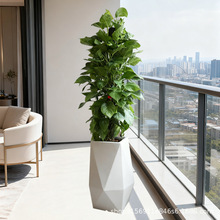 �׺����Θ�֬����F���Ҿӈ@ˇ������ȾGֲ���Sֱ�N�F؛���l