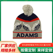 定制提花刺绣商标亚克力球队针织帽带pom翻边豆豆帽男女休闲百搭